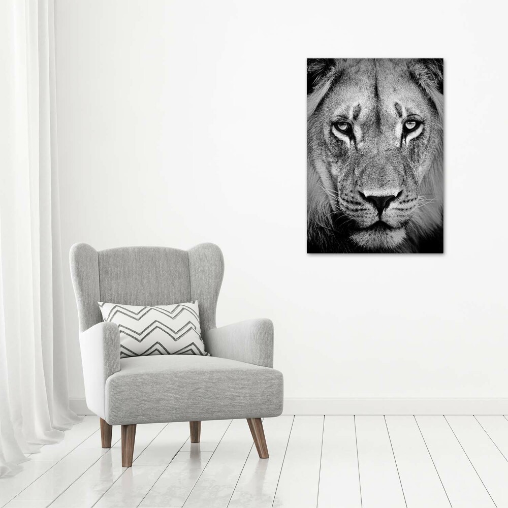 Acrylic print Portrait of a lion