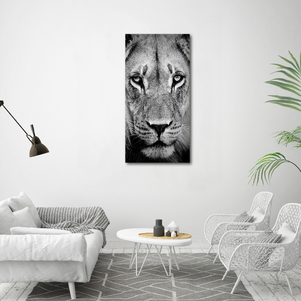 Acrylic print Portrait of a lion