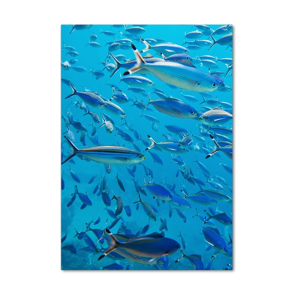 Acrylic wall art Coral fish