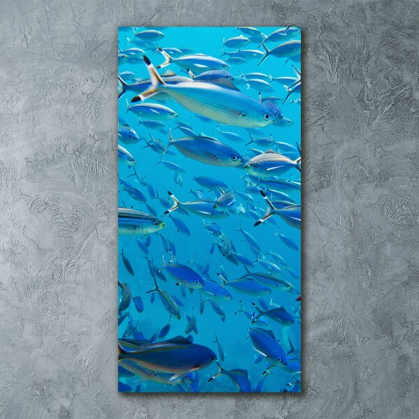 Acrylic wall art Coral fish