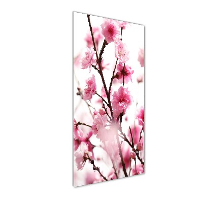 Print on acrylic Plum flowers