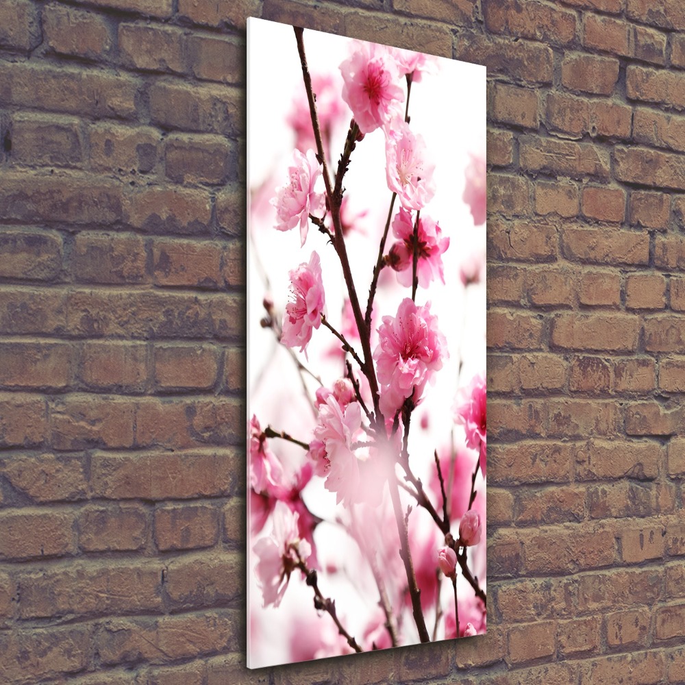 Print on acrylic Plum flowers