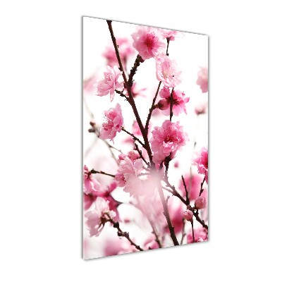 Print on acrylic Plum flowers