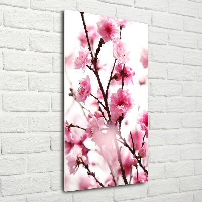 Print on acrylic Plum flowers