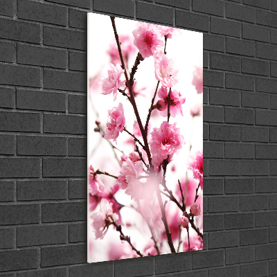 Print on acrylic Plum flowers