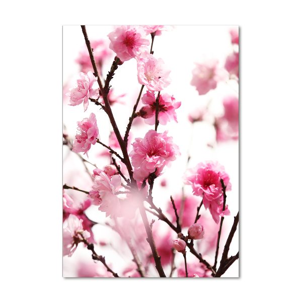 Print on acrylic Plum flowers