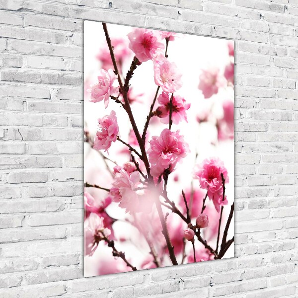 Print on acrylic Plum flowers