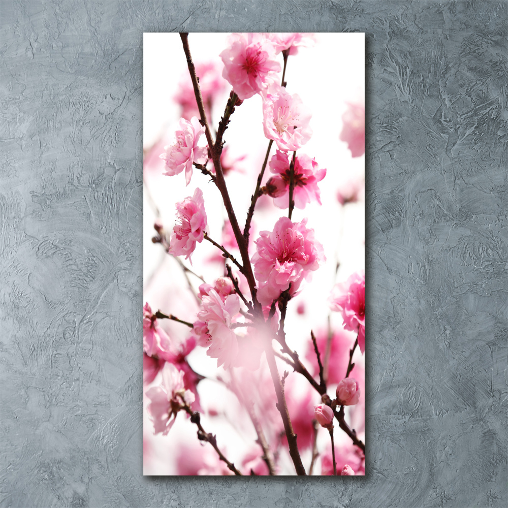 Print on acrylic Plum flowers