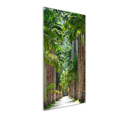 Print on acrylic glass Palm trees