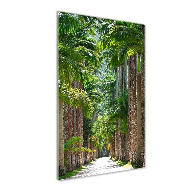 Print on acrylic glass Palm trees