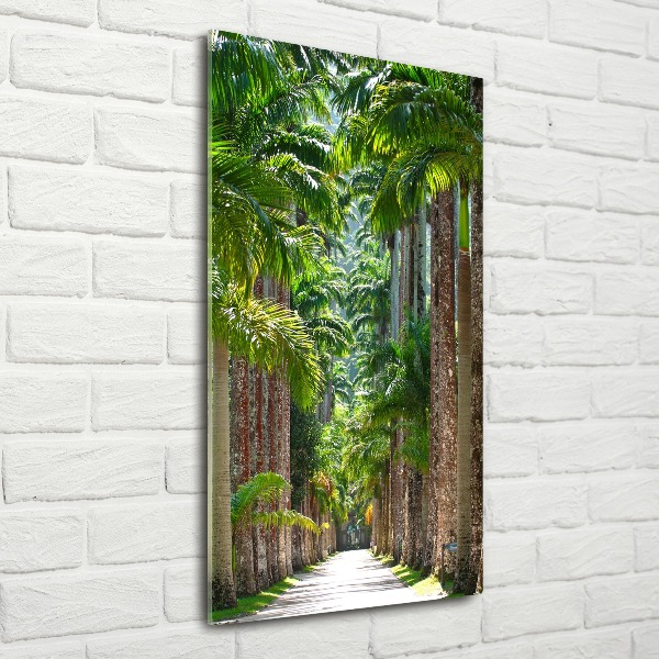 Print on acrylic glass Palm trees