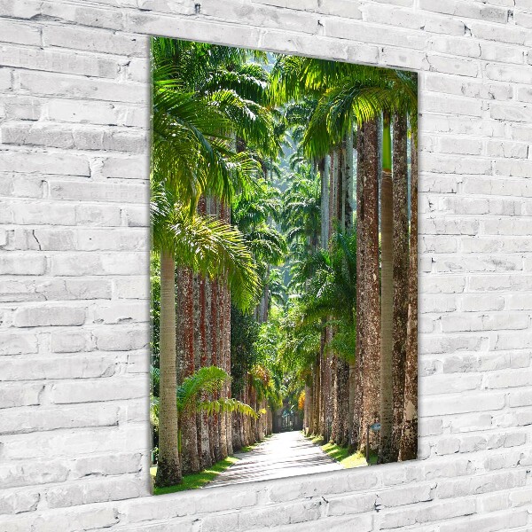 Print on acrylic glass Palm trees