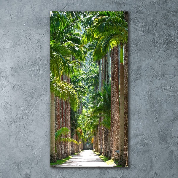 Print on acrylic glass Palm trees