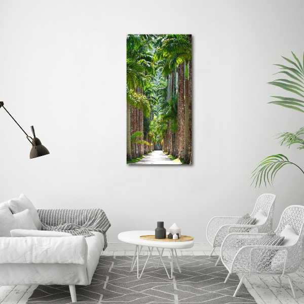 Print on acrylic glass Palm trees