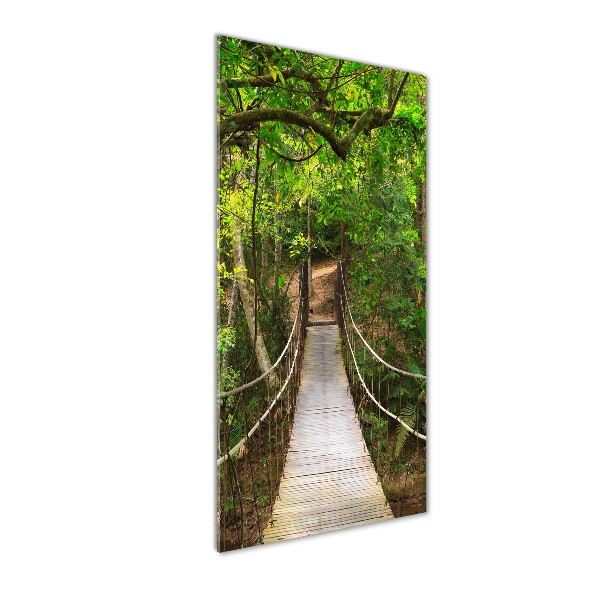 Print on acrylic The bridge hanging in the forest