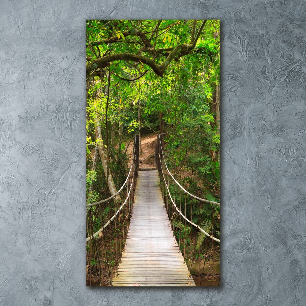 Print on acrylic The bridge hanging in the forest