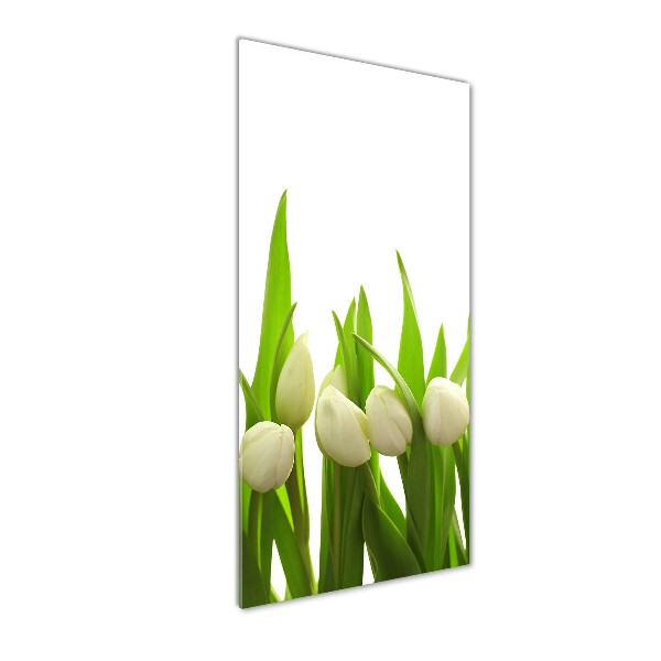 Acrylic wall art White tulips