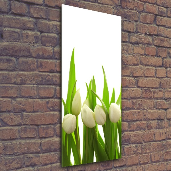 Acrylic wall art White tulips