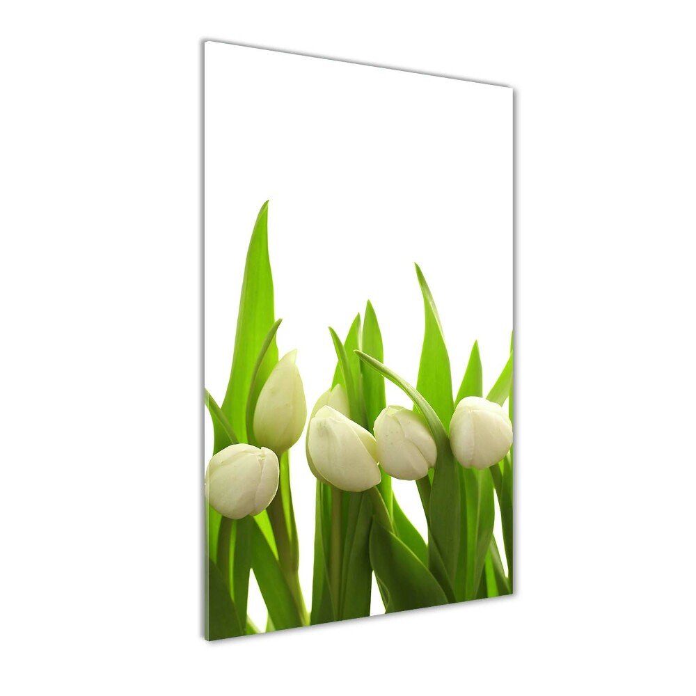 Acrylic wall art White tulips