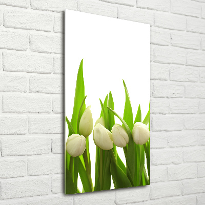 Acrylic wall art White tulips