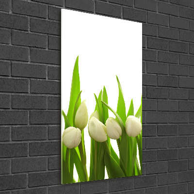 Acrylic wall art White tulips