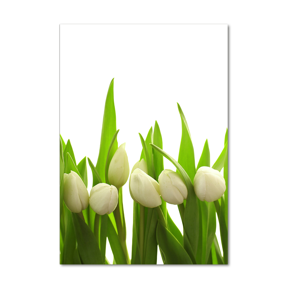 Acrylic wall art White tulips