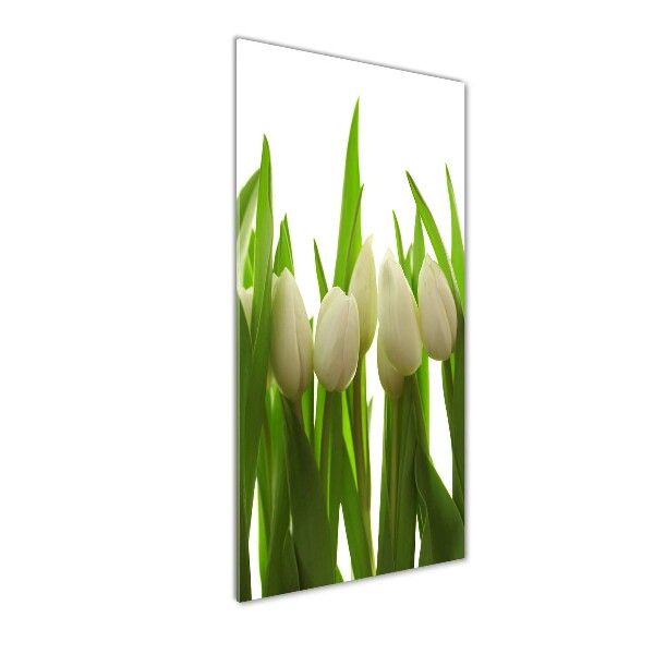 Acrylic print White tulips