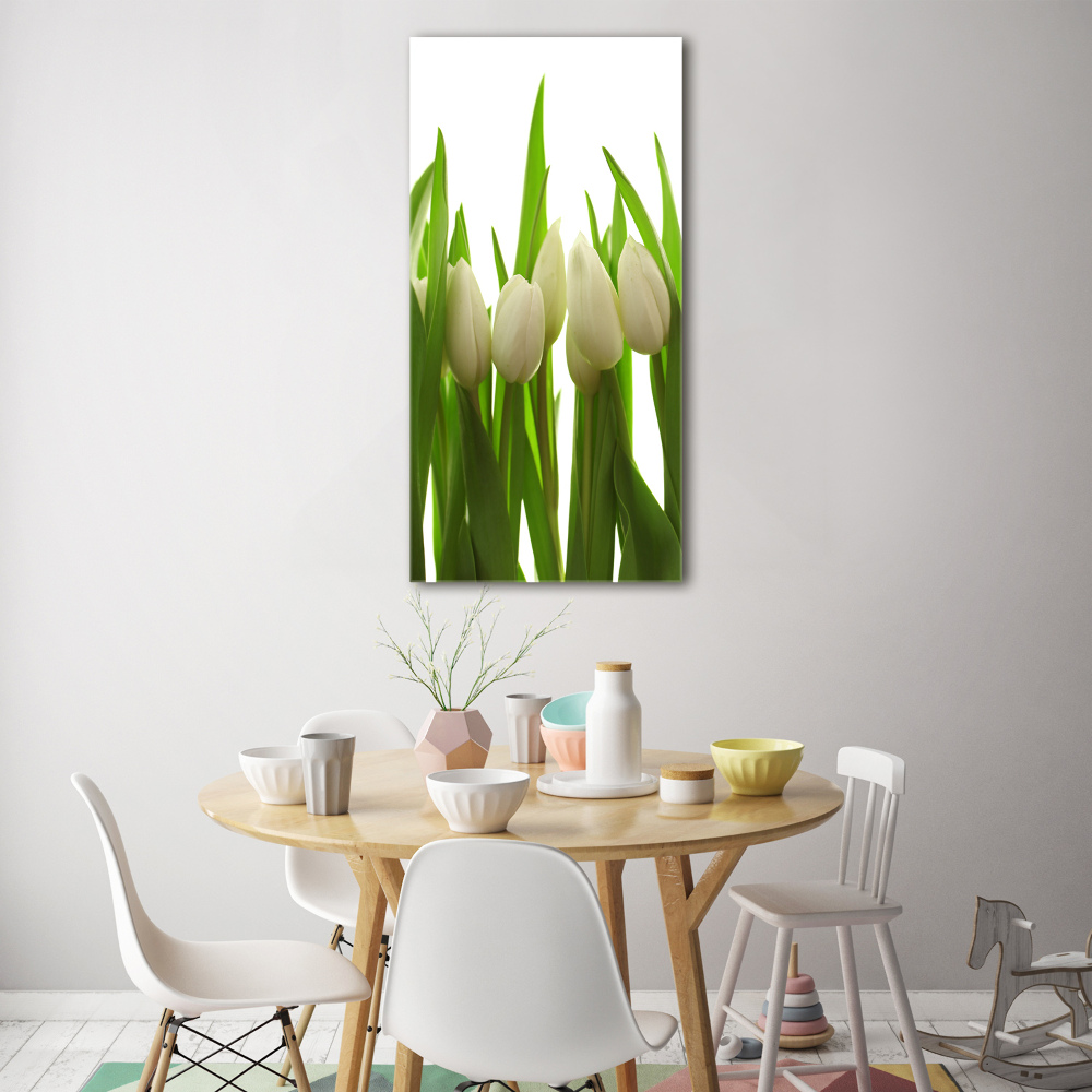 Acrylic print White tulips