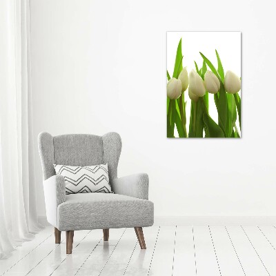 Acrylic print White tulips