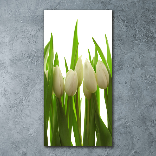 Acrylic print White tulips