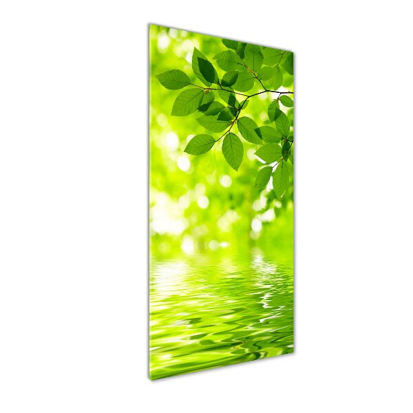 Acrylic wall art Green leaves