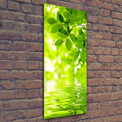 Acrylic wall art Green leaves