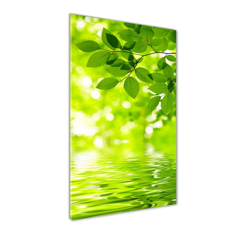 Acrylic wall art Green leaves