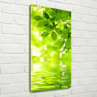 Acrylic wall art Green leaves