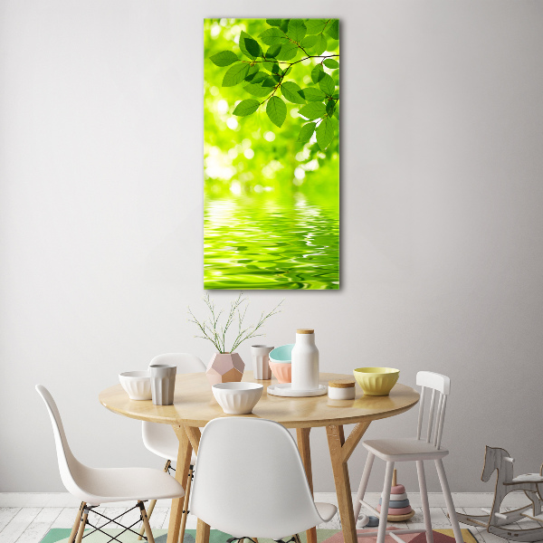 Acrylic wall art Green leaves