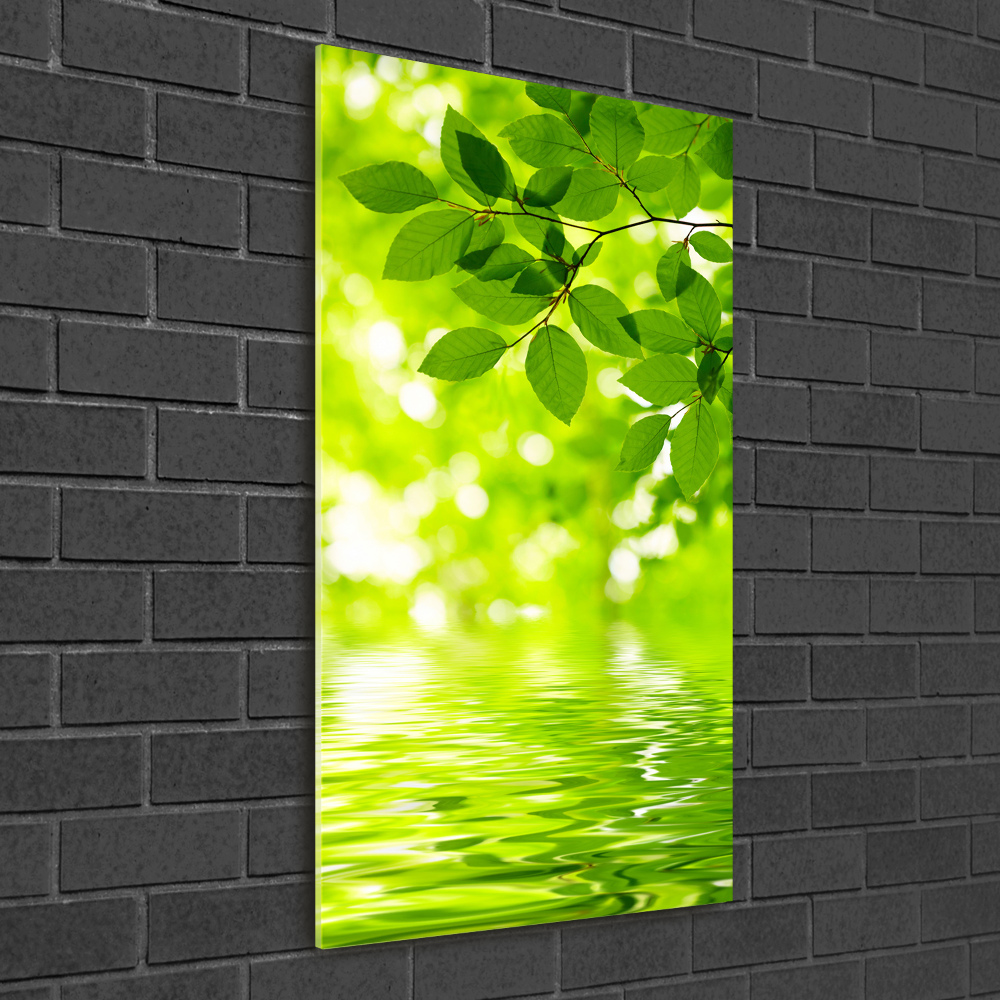 Acrylic wall art Green leaves