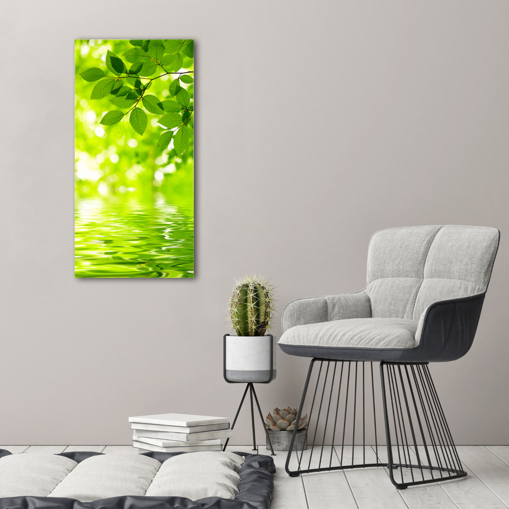 Acrylic wall art Green leaves