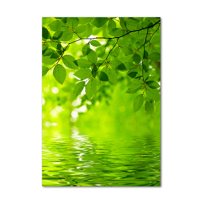 Acrylic wall art Green leaves