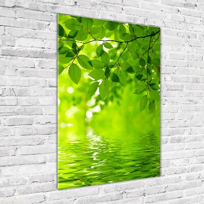 Acrylic wall art Green leaves