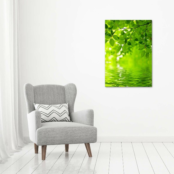 Acrylic wall art Green leaves