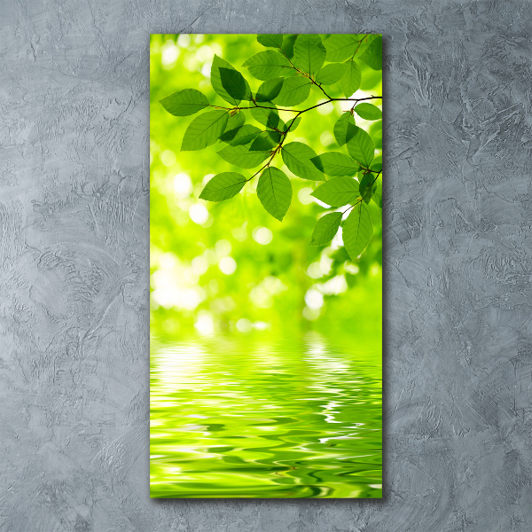 Acrylic wall art Green leaves