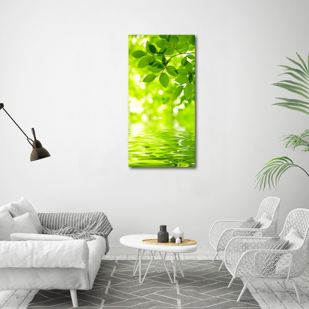 Acrylic wall art Green leaves