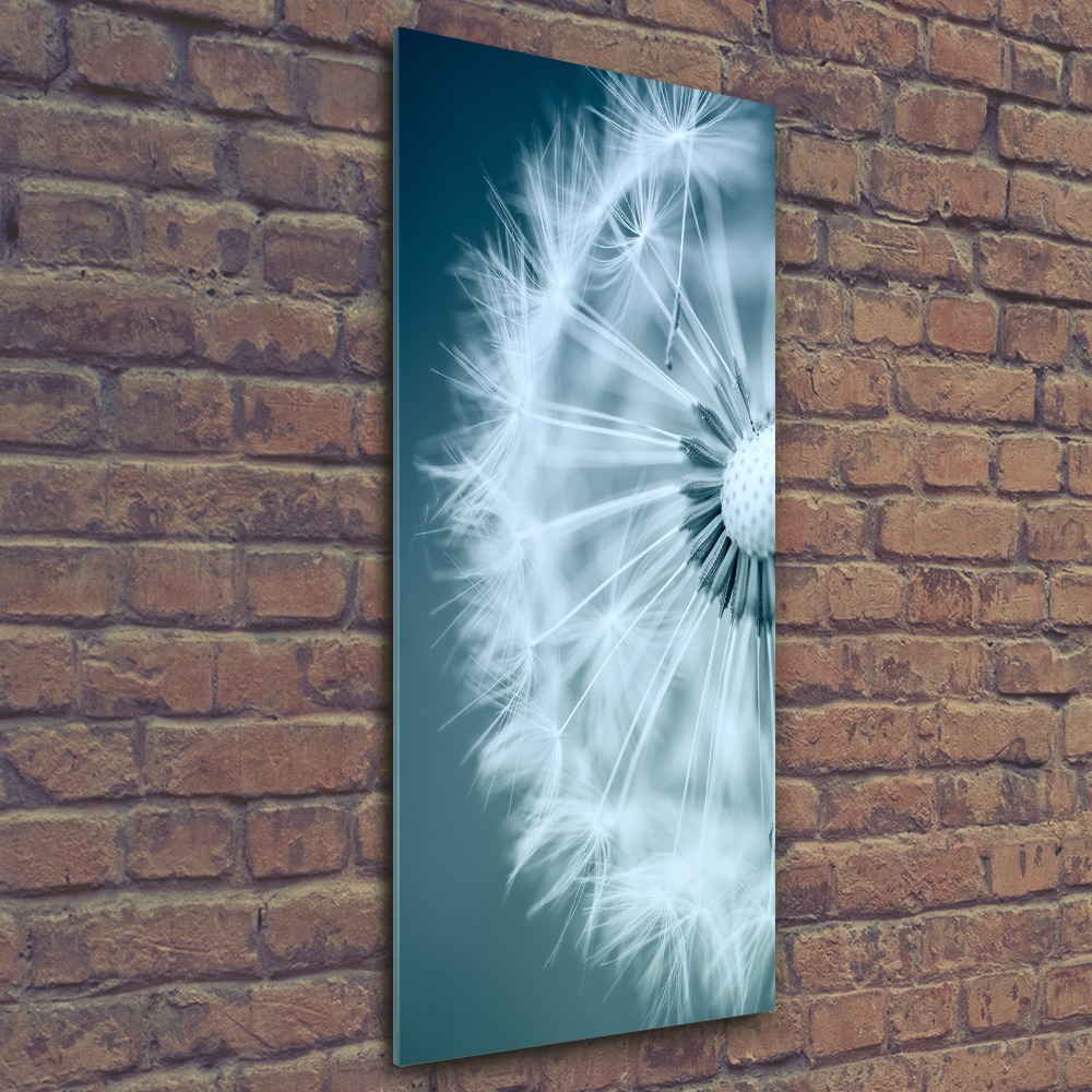 Acrylic print Dandelion