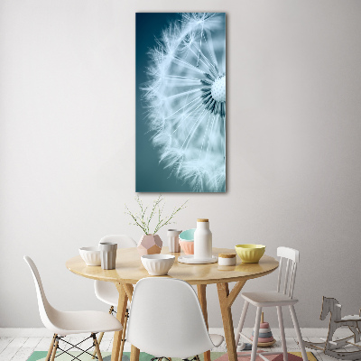 Acrylic print Dandelion