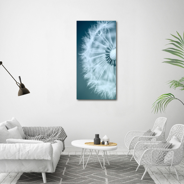 Acrylic print Dandelion