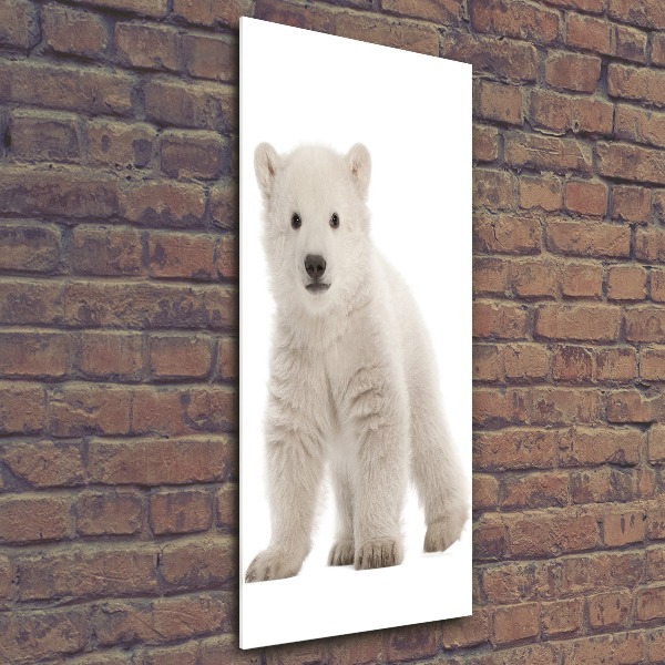 Acrylic print A polar bear