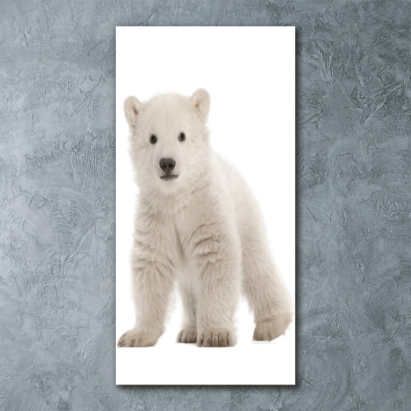 Acrylic print A polar bear