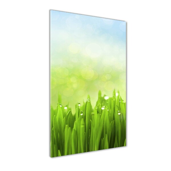 Print on acrylic glass Grass