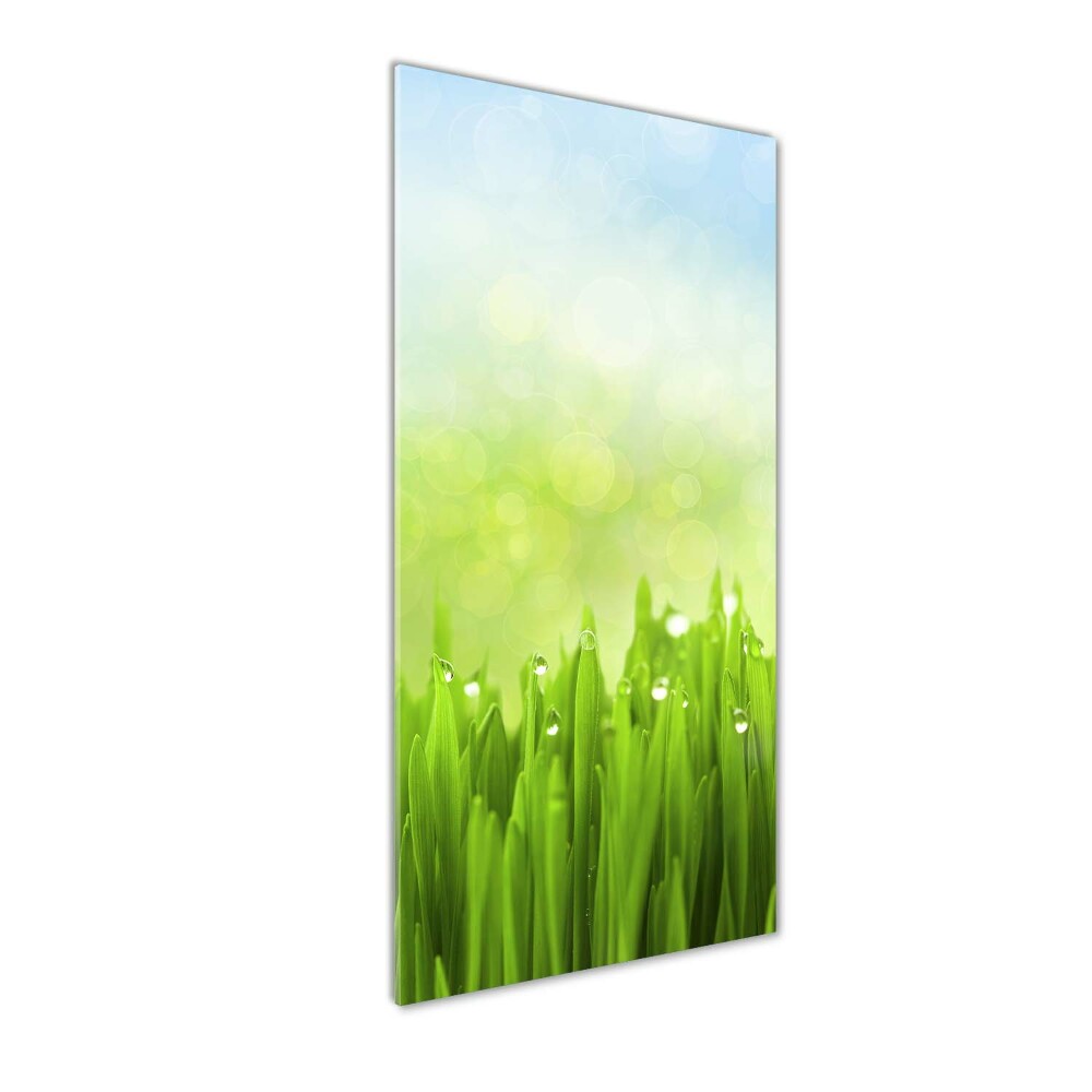 Print on acrylic glass Grass