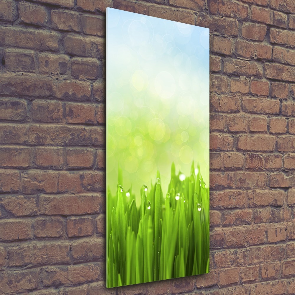 Print on acrylic glass Grass